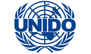 Бизнес-план по стандартам UNIDO